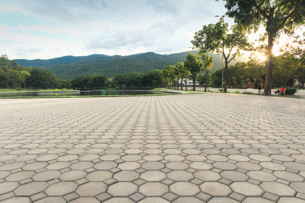 Best Driveway Pavers Near Me  in Chenoa, IL